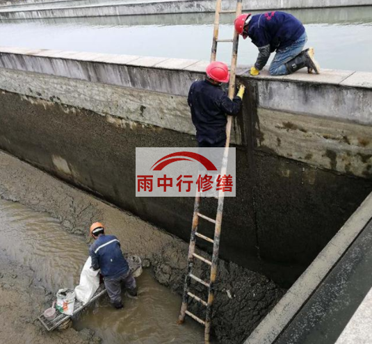西藏污水池变形缝堵漏