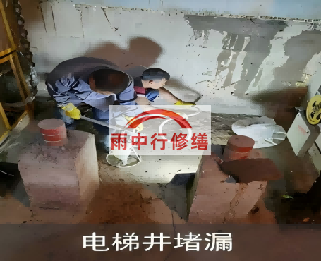 西藏星雨华府电梯井堵漏案例