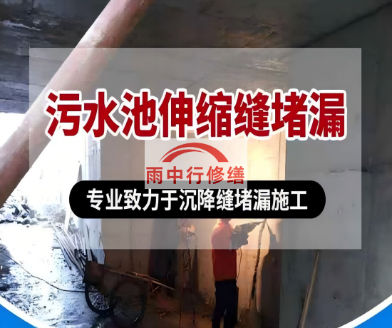 西藏大吉铁塔污水池（沉淀池）堵漏案例