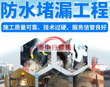 西藏申请地下室渗漏水保险理赔的具体流程是什么？